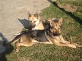 La Jenny est� puap�sima
