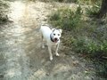 En Koyi
