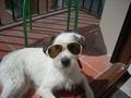 En Frosti ara �s en Dexter