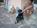stich a la seva nova llar