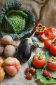 productes de la terra