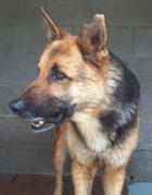 Tipper