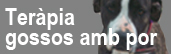Banner terapia gossos amb por
