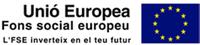 Logo Fons Social Europeu