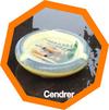 cendrer cendrer