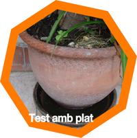 test amb plat test amb plat