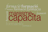 logo fons web
