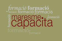 logo fons web