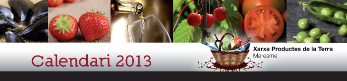 banner calendari 2013