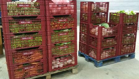 caixes de verdures- central de compres de productes d'horta Maresme