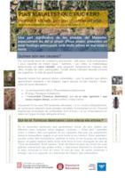 pins malalts en sòl urbà