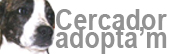 banner Cercador Adopta'm