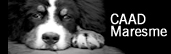 Centre d'atenci� d'animals dom�stics de companyia del Maresme