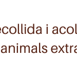 recollida i acollida d’animals extraviats(1)