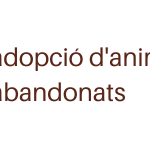 recollida i acollida d’animals extraviats(4)
