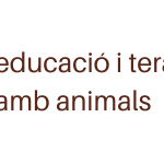 recollida i acollida d’animals extraviats(5)