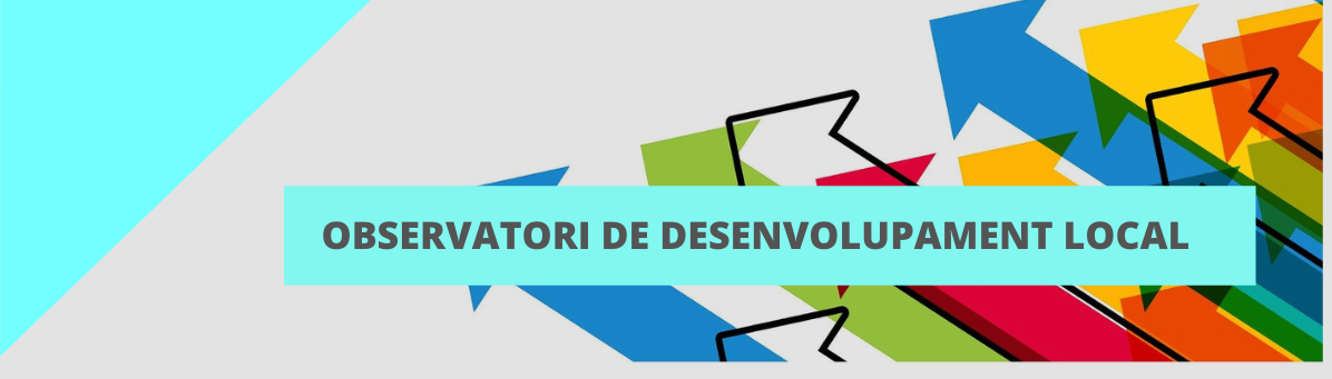 Observatori de desenvolupament local
