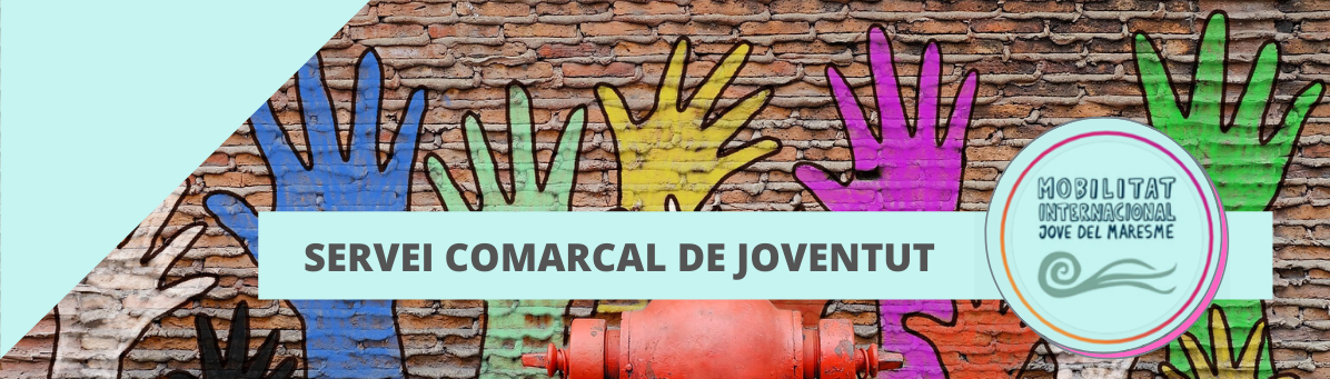 Referent d’Ocupació Juvenil