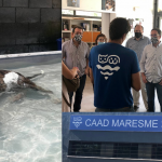 persones ocupades i llocs de treball al Maresme(10)