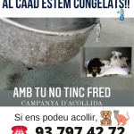 ambtunotincfred