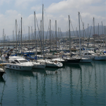 mataro