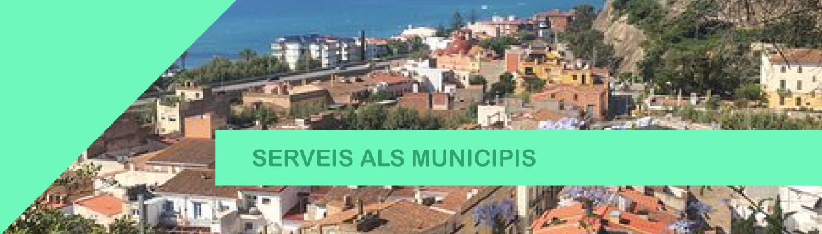 Serveis als Municipis