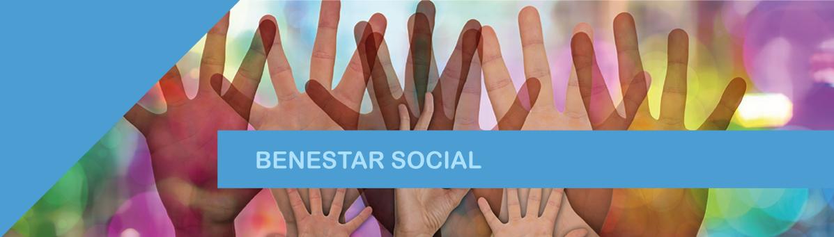 Suport a l’atenció social primària