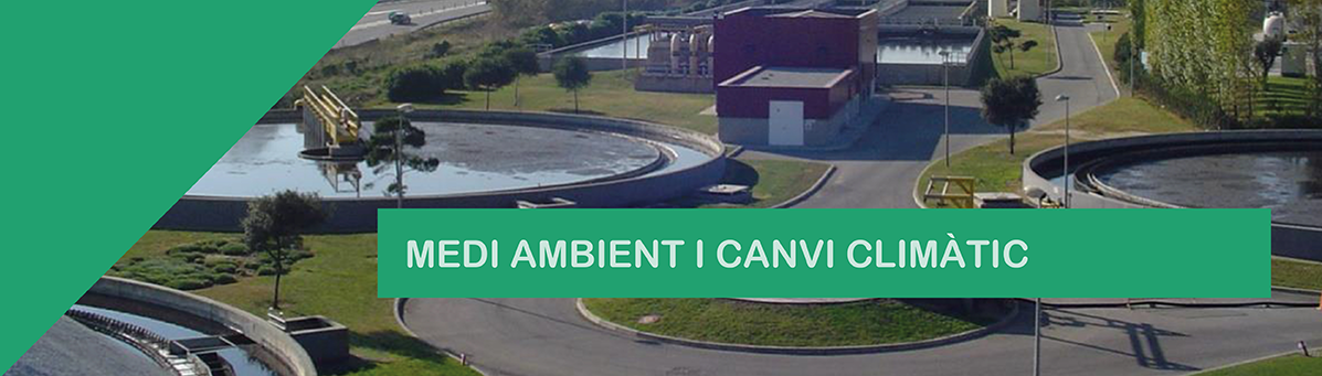 Canvi climàtic