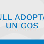 cmm-home-adoptar-gos