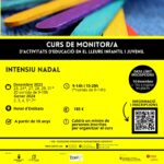 cartell-curs-monitor.a-xarxes