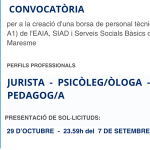 borsa personal tècnic